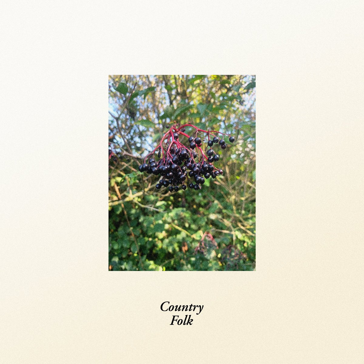 Gently Tender (@gently_tender) on Twitter photo Pre-Save ‘Country Folk’ now - gentlytender.lnk.to/CountryFolk Pre-Save ‘Country Folk’ now - gentlytender.lnk.to/CountryFolk