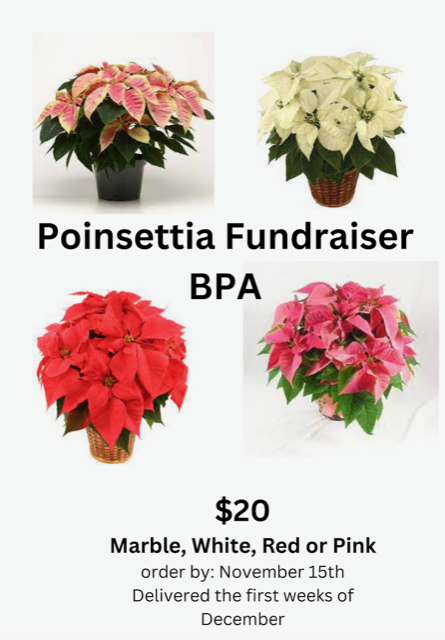 Floydada Collegiate ISD (@floydada_isd) on Twitter photo BPA is selling poinsettias. Orders have to be completed by November 15th and delivery will be first of December.
If you would like to purchase contact a BPA member or Ms. Hinson khinson@floydadaisd.esc17.net BPA is selling poinsettias. Orders have to be completed by November 15th and delivery will be first of December.
If you would like to purchase contact a BPA member or Ms. Hinson khinson@floydadaisd.esc17.net