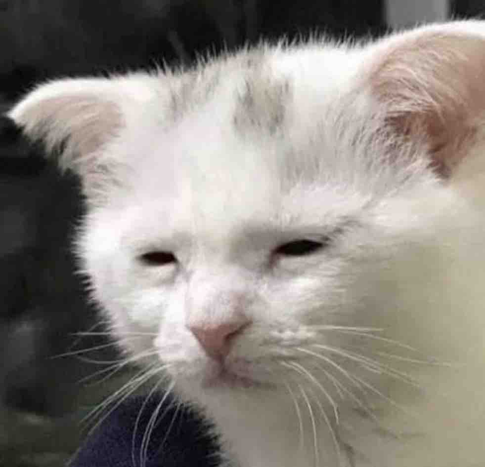 Cuando ya diste todo de ti y apenas es martes.