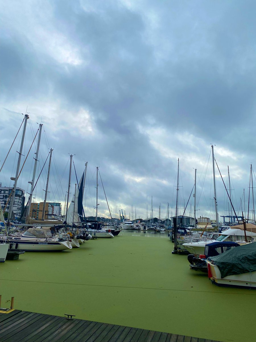 Elle Haywood (@ellekhaywood) on Twitter photo Cloudy skies over the harbour, but a great few days of visiting some of our <a href="/BFIFilmAcademy/">BFI Film Academy</a> Short Courses in action 🌟 Up to see <a href="/UniofSuffolk/">University of Suffolk</a> on shoot today and a great trip to <a href="/104Films/">104 Films</a> this past weekend
bfi.org.uk/bfi-film-acade… Cloudy skies over the harbour, but a great few days of visiting some of our <a href="/BFIFilmAcademy/">BFI Film Academy</a> Short Courses in action 🌟 Up to see <a href="/UniofSuffolk/">University of Suffolk</a> on shoot today and a great trip to <a href="/104Films/">104 Films</a> this past weekend
bfi.org.uk/bfi-film-acade…