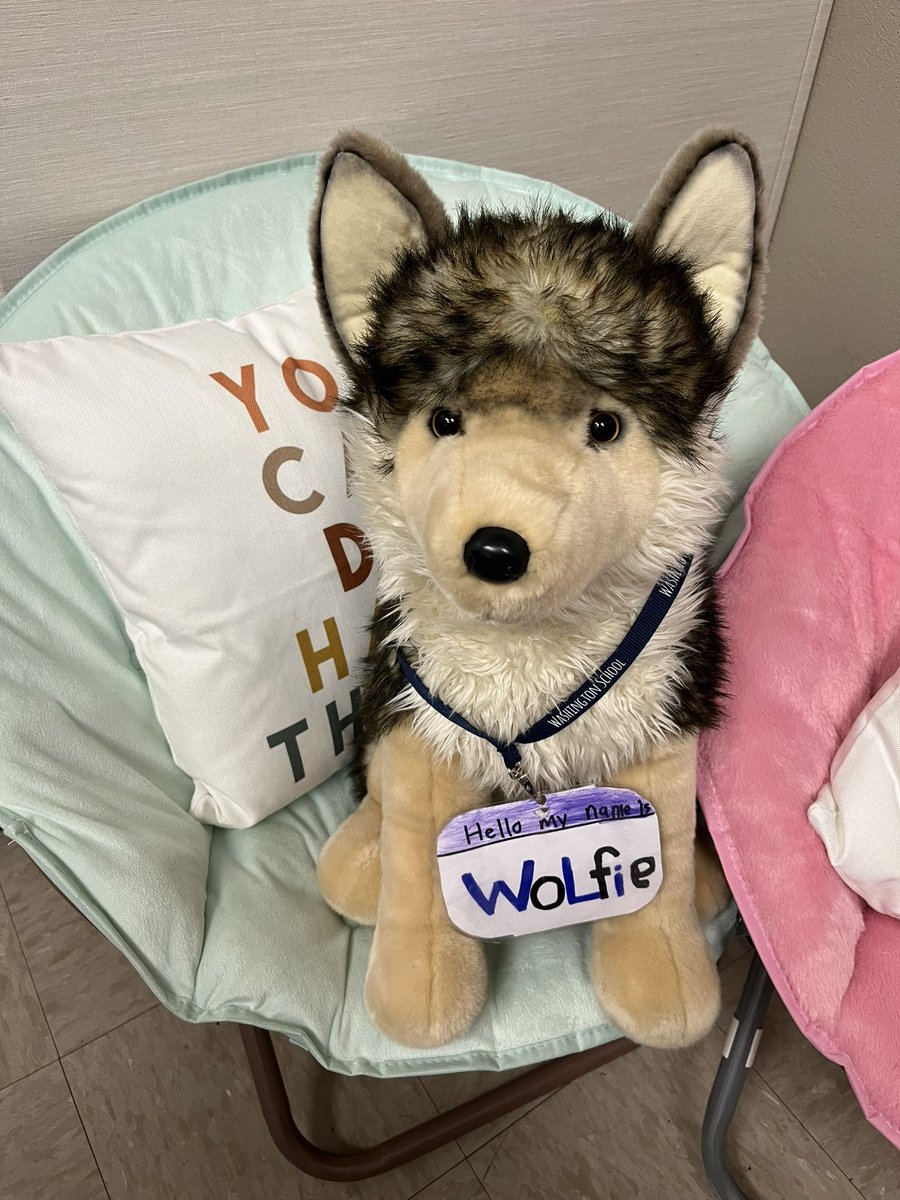 It’s always a special week when Wolfie is your guest visitor during ELA 🐺☺️ <a href="/Washington_NJ/">Washington</a>