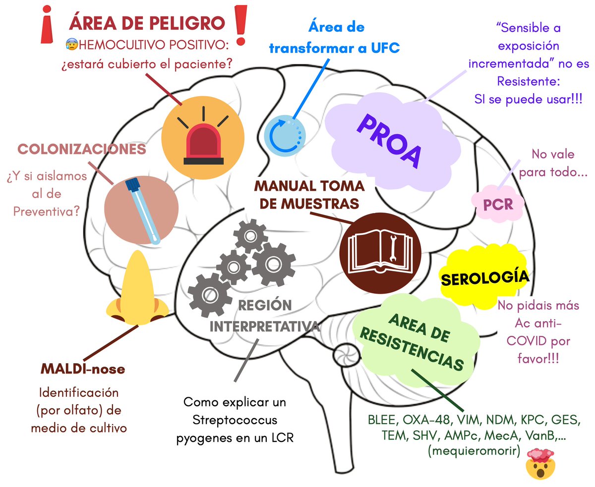 MICROBIOLOGÍA - Hospital Clínico de Valencia tweet media