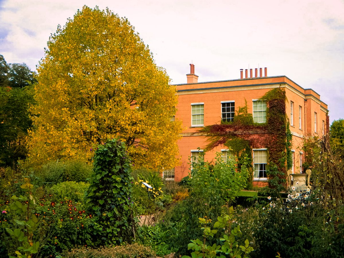 Autumn at #Killerton and the annual pumpkin trail. #MidDevon #Devon