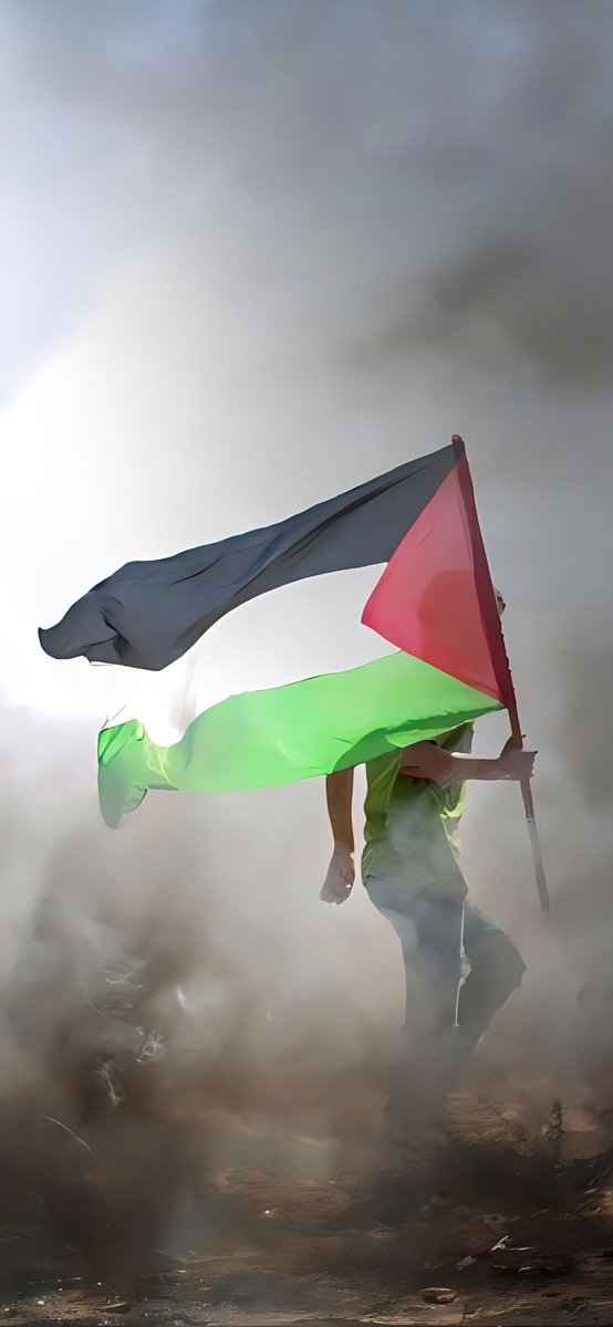 Sinbadcr77's tweet photo. #Gazabombing https://t.co/UE8h6vxR22