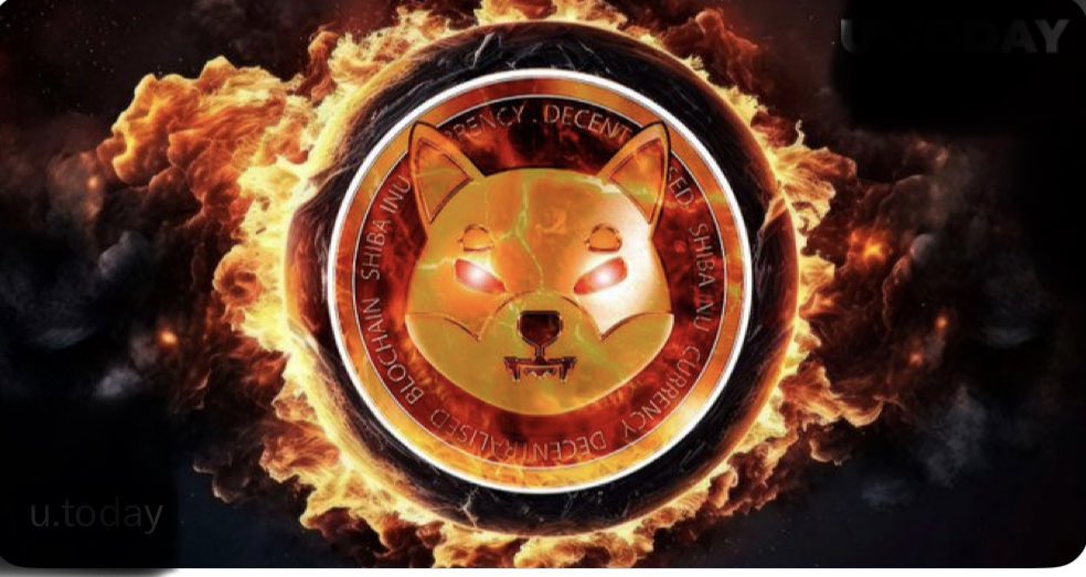 shibariumaim's tweet photo. .@Shibtoken burn rate soars 567% amid price revival #ShibaInu #SHIB #BTC  #ShibArmy #SHIBA #الهلال_مومباي https://t.co/QbpRIOJK65