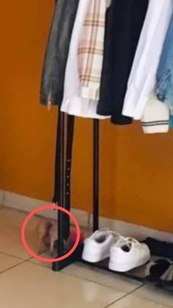 You'll experience this 😂👏