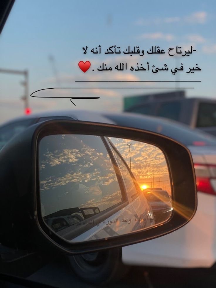 انيقه🕊️ tweet media