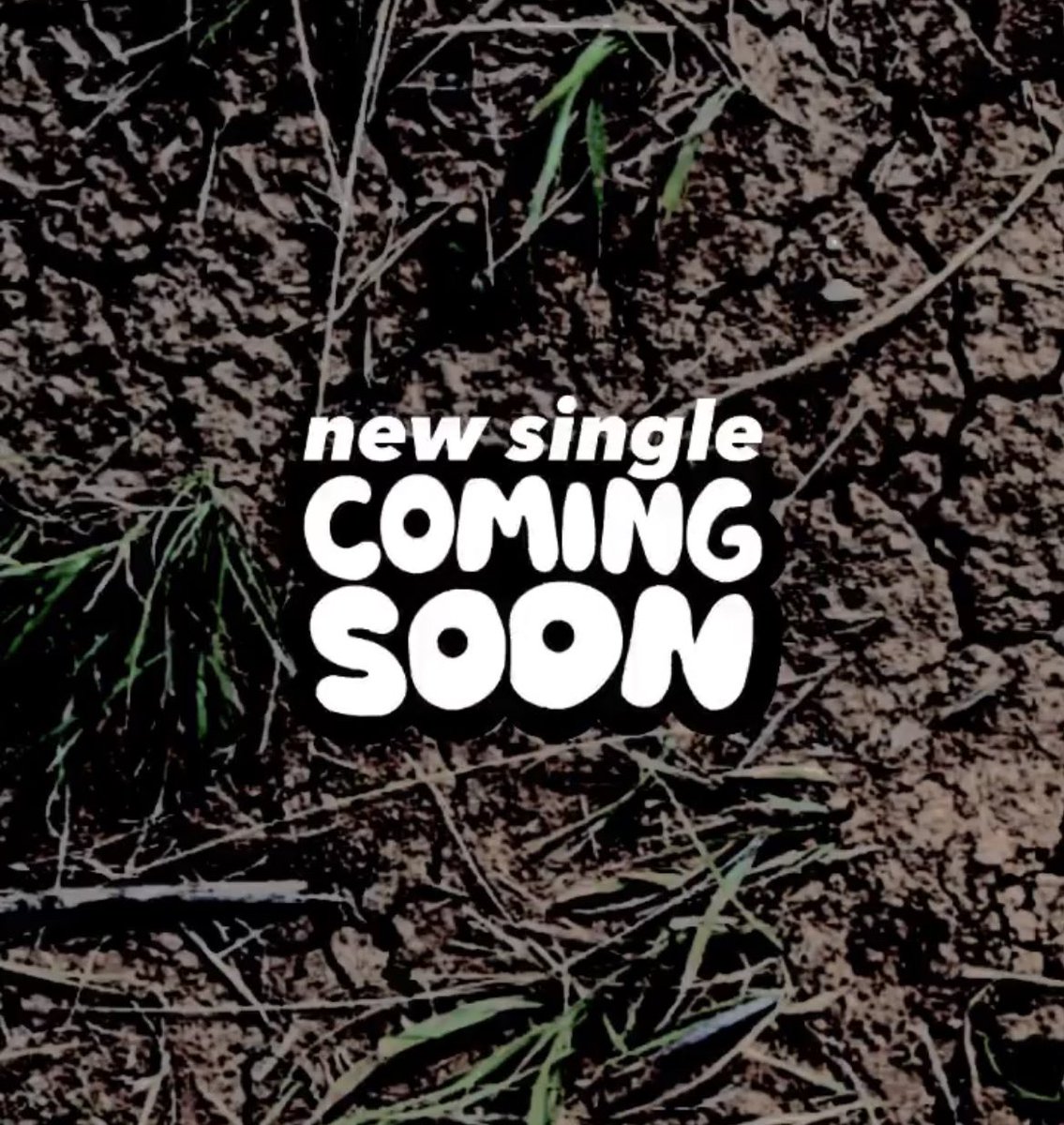 norequest tweet media