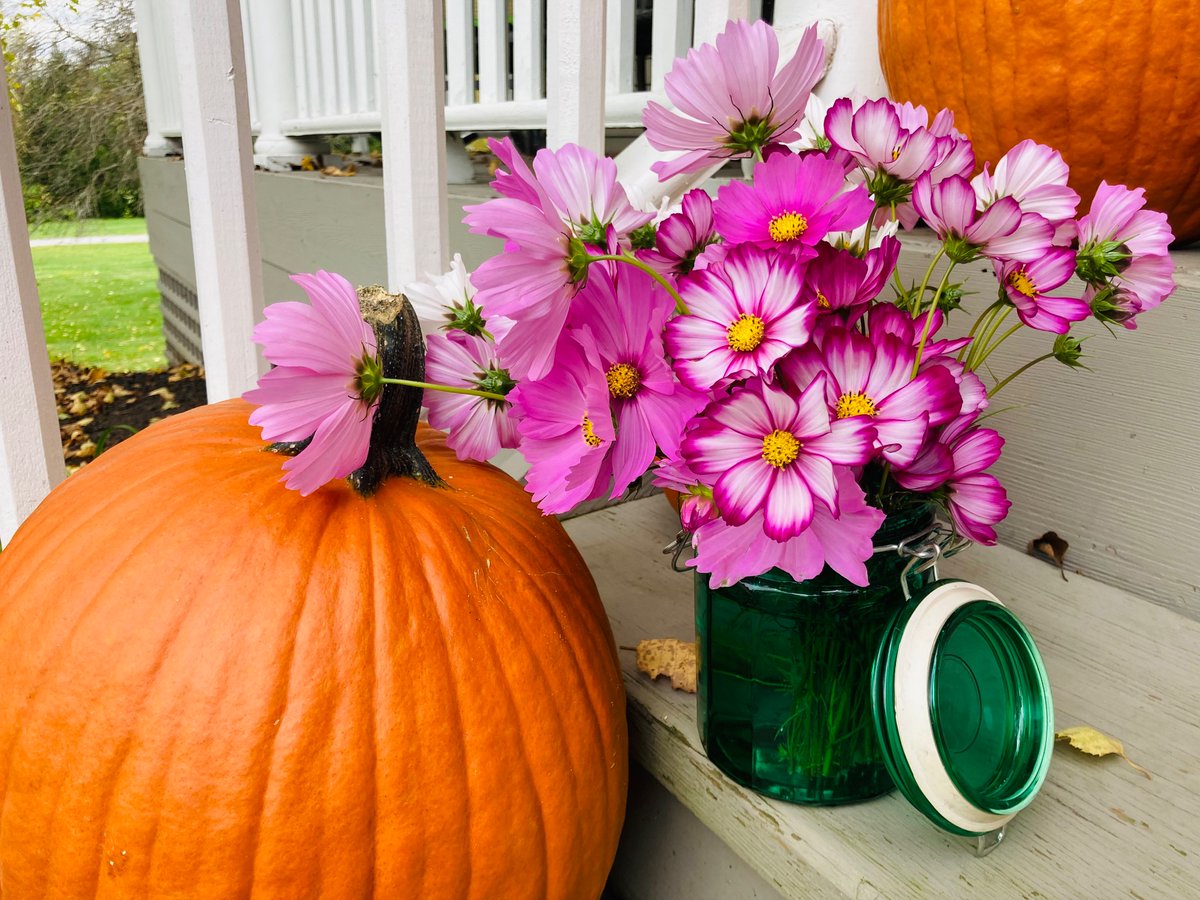 Ann Margaret Lyons tweet media