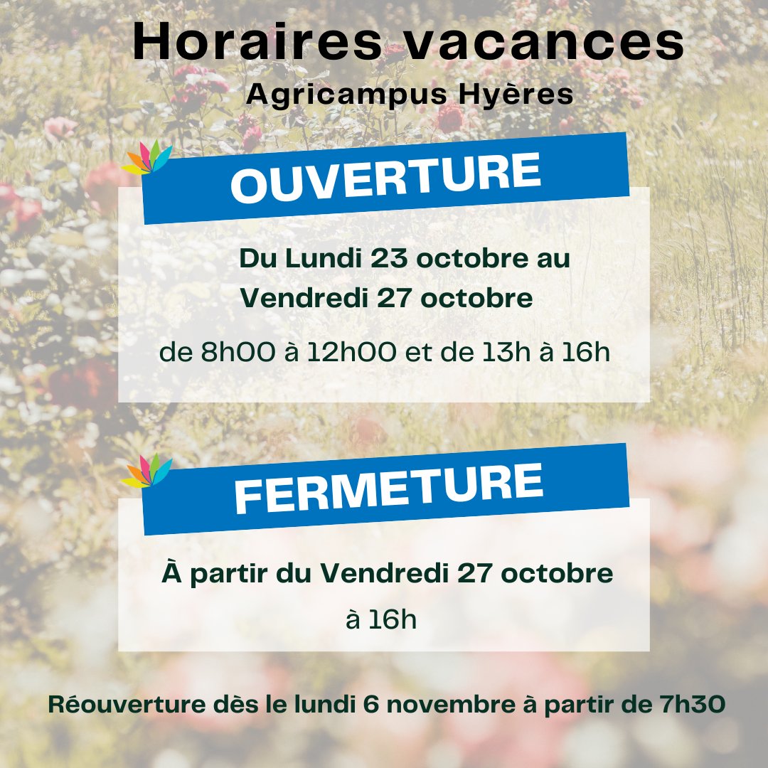 Le campus de Hyères prend des vacances 😎 On se retrouve le lundi 6 novembre !