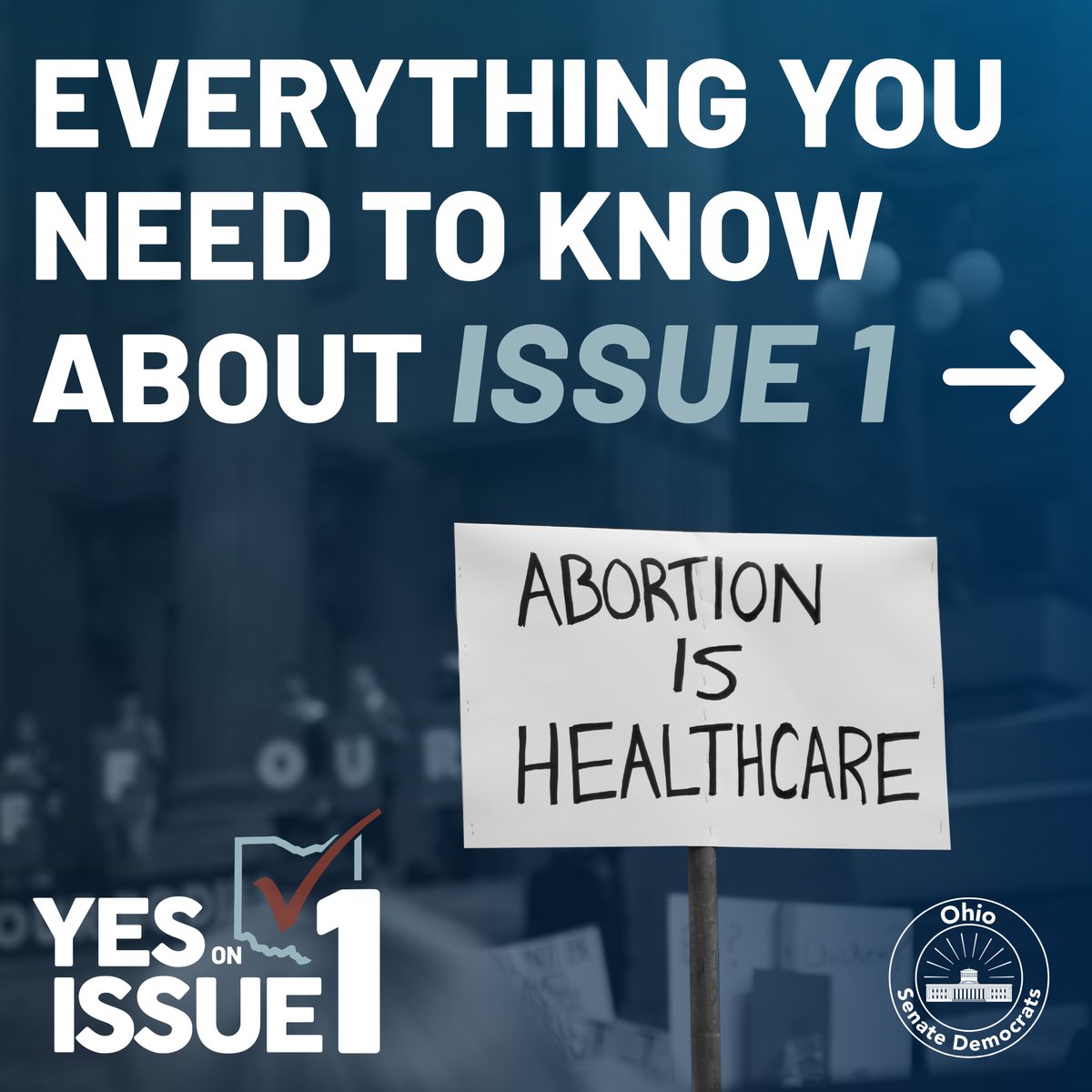 OhioSenateDems's tweet photo. 🚨 Election Day is just 2 weeks away, Ohio!
Here's everything you need to know about Issue 1. ⬇️
#VoteYESinNovember #VoteYESonIssue1 #VoteYES #Ohio https://t.co/Rl9R2zhxNe