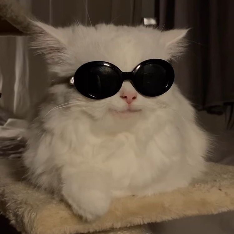 did you vote for zerobaseone today?