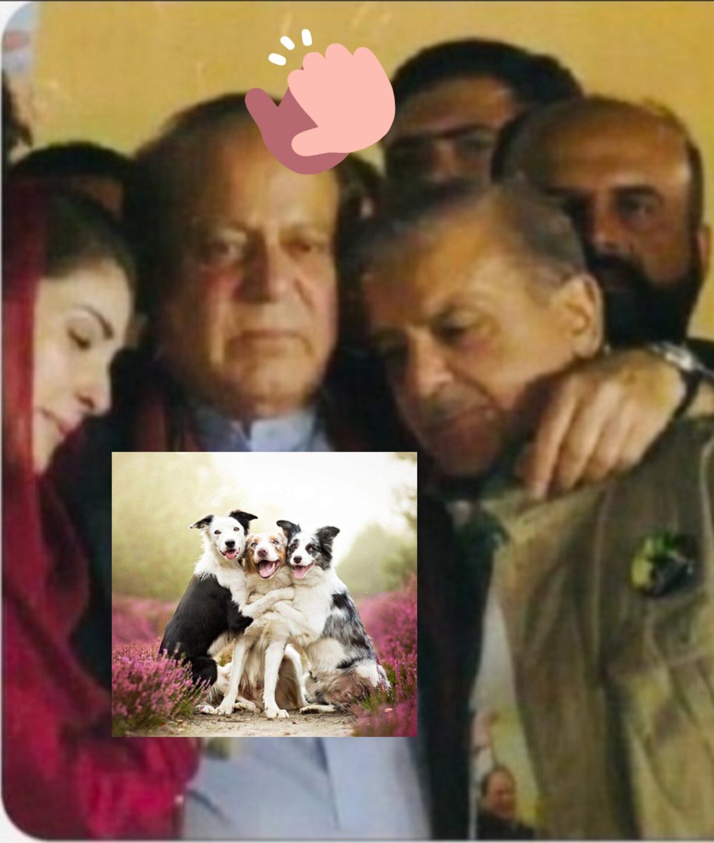 Waqar Ahmed (@4waqr) on Twitter photo میرا قائد چور ہے میرا قائد چور ہے