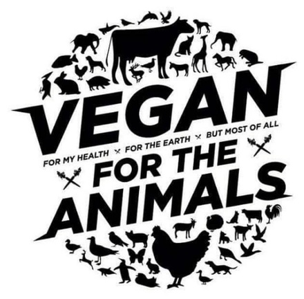 veganfuture's tweet photo. Go vegan for the animals https://t.co/6ps37MLGA4