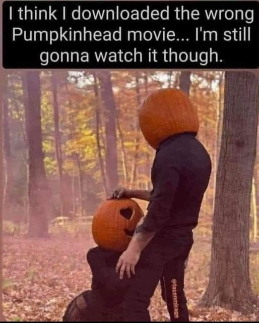 Pumpkinhead? Or Pumpkin... head...? I guess if you put the space in there, you get a different search<a href="/tag/ddlg"class="tags"><span>#ddlg</span></a>