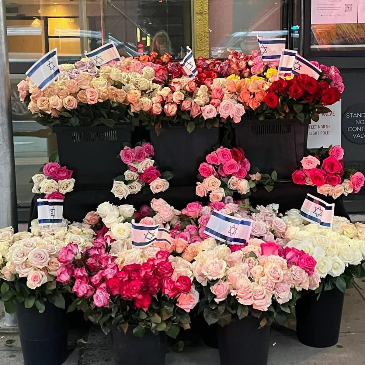 MM_JCCManhattan's tweet photo. An anonymous individual sent us 1400 flowers this morning to represent the precious lives lost in Israel.

We’ve chosen to display them publicly to share the loving kindness of strangers &amp; remind us of the beauty &amp; fragility of human life.

May their memories be a blessing. https://t.co/UUELNnFfWB
