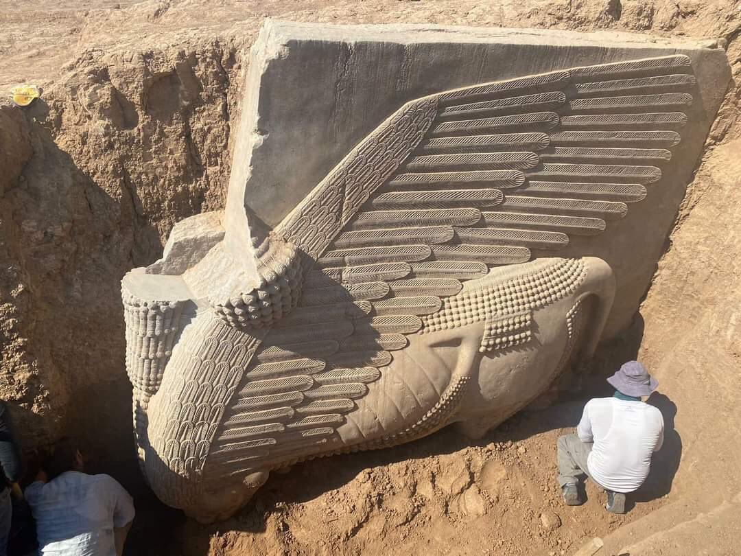 ahmed_mamoori's tweet image. A join Iraqi-French archaeological mission have uncovered a Lamassu at the Dur-Sharrukin archaeological site, Khorsabad, in Nineveh, Iraq.