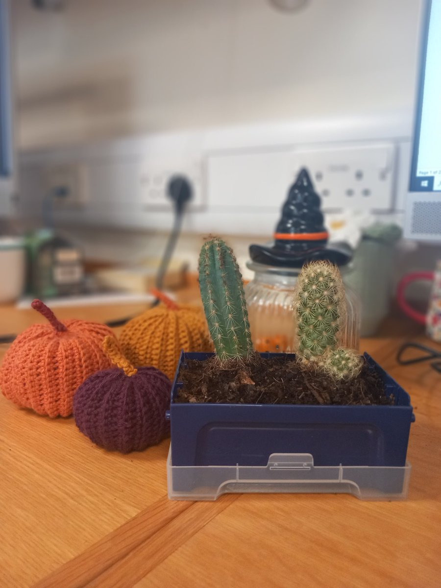 Thank you @StarlabUKLtd for the cactus and advice on promoting sustainability in the lab, great way to reuse a pipette tip box! 🌵♻️  #EcolutionMovement