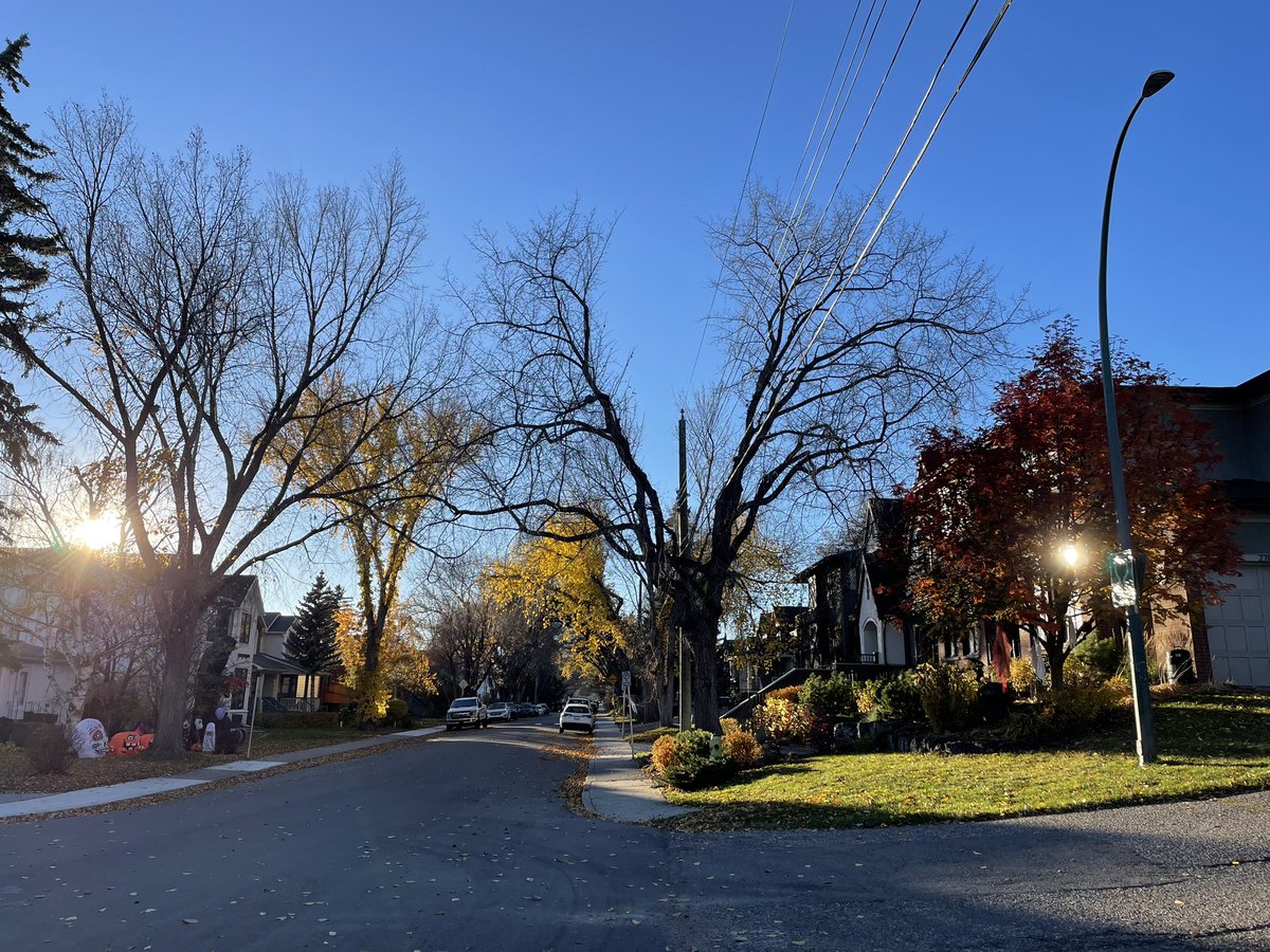 elrets's tweet image. Gotta say Calgary is being quite generous. On top of numerous Ultrasounds and quality teaching… a diverse weather @novakkerri @CathyLuMD @kennethernest @BowelUltrasound 
#IUS #Module2