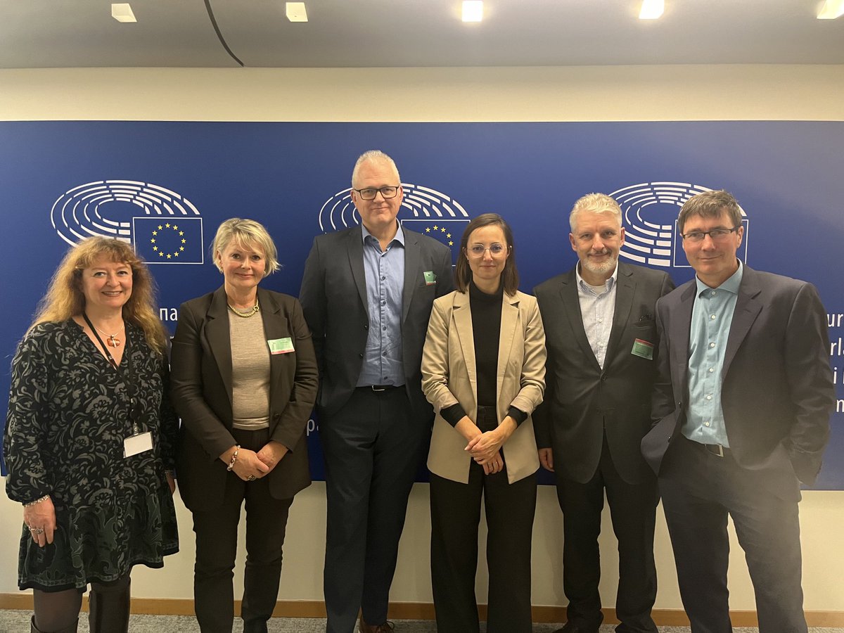 Beritlinen tweet media