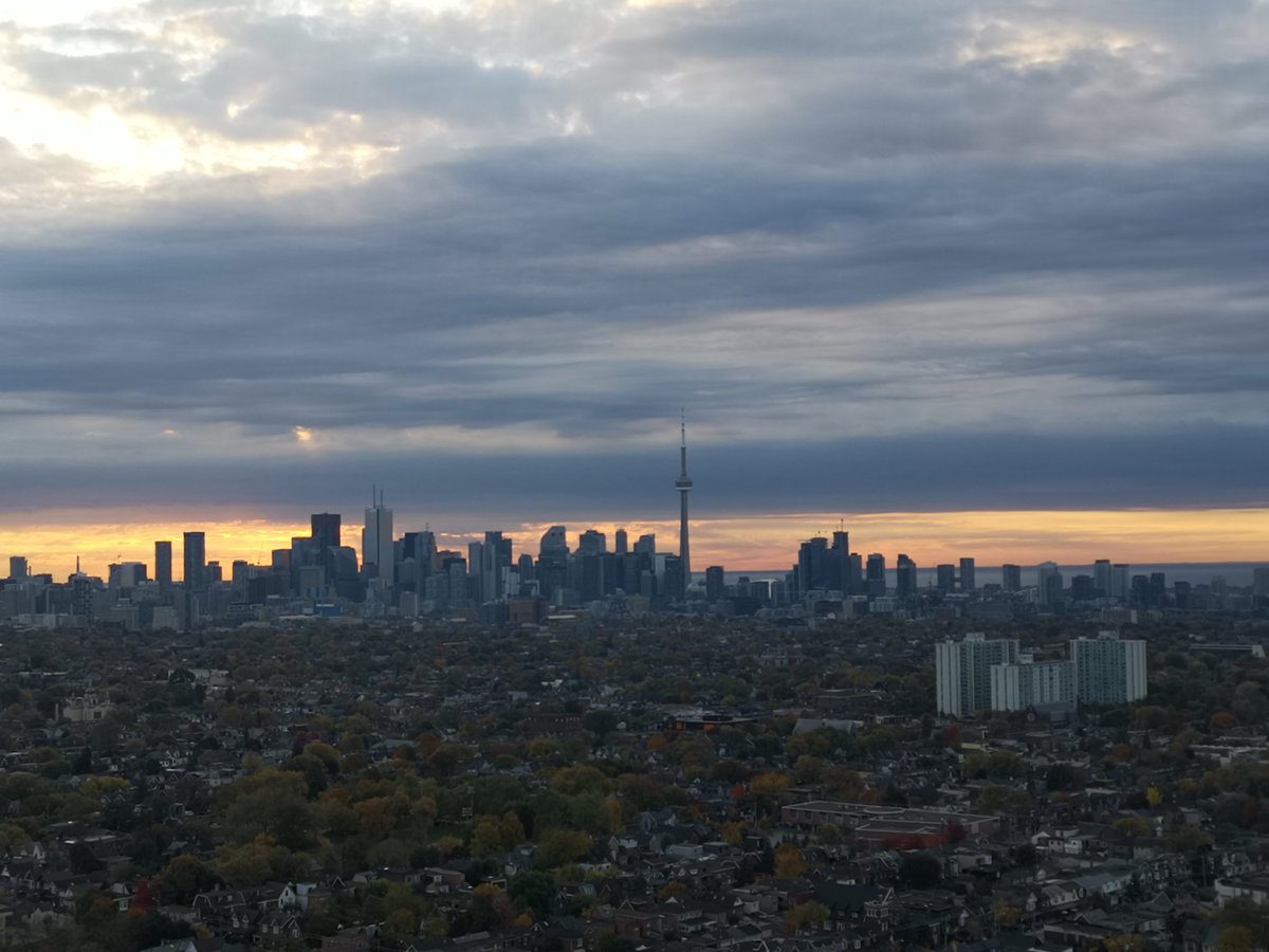 Goooood Morning #FungiFam 🍄☕

It's a beauty #TuesdayMorning so let's get out there and do things that make ourselves feel #PROUD 😊

Add your own unique style and flavor to everything you do 💯

Have a great one!! 🎉
#FHC 
#Gratitude