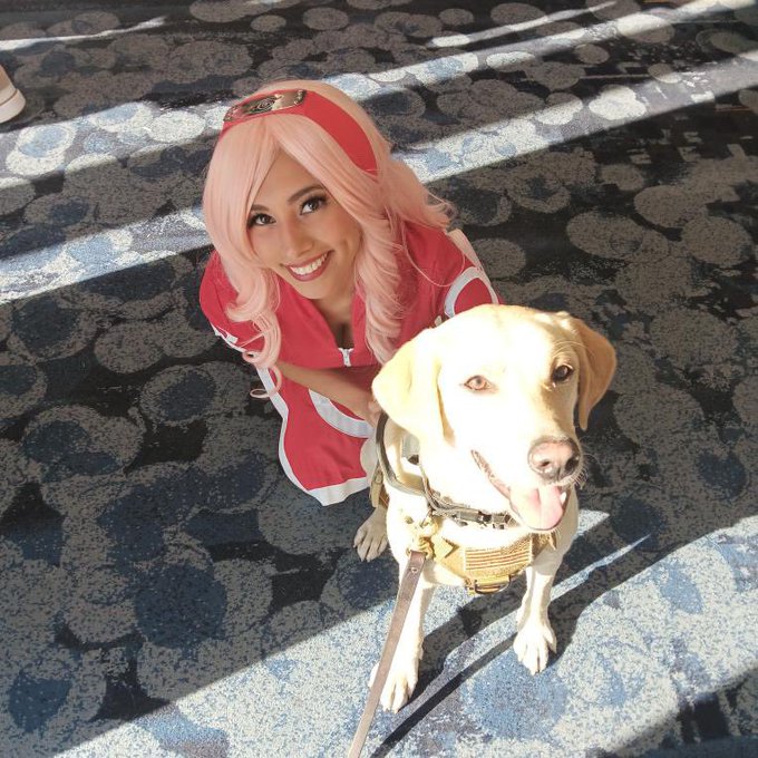 Sakura kun @BanksieTV ❤️ &amp; Luna 🐶🌜  #TwitchConLasVegas #twitchcon #cosplay #waifu #banksie https://t<a class="tags" target="_blank" title="On Twitter" href="/?out=eyJ0eXAiOiJKV1QiLCJhbGciOiJIUzUxMiJ9.eyJpYXQiOjE3MjM3NzIyMDMsImlzcyI6InR3cG9ybnN0YXJzLmNvbSIsIm5iZiI6MTcyMzc3MjIwMywiZXhwIjoxNzU1MzA4MjAzLCJyZWRpcmVjdF91cmwiOiJodHRwczovL3R3aXR0ZXIuY29tL0JhbmtzaWVUViJ9.CcmsN_6ka_FoIDCHEt7Lo3rQUcrXzIKGy4pJsbz05QkP1RGEYetGYja8bW3js572wbZbPsLKrC9HD49Ac8okqA">@BanksieTV</a><a href="/tag/twitchconlasvegas"class="tags">#TwitchConLasVegas</a><a href="/tag/cosplay"class="tags"><span>#cosplay</span></a><a href="/tag/twitchcon"class="tags"><span>#twitchcon</span></a><a href="/tag/waifu"class="tags"><span>#waifu</span></a><a href="/tag/banksie"class="tags"><span>#banksie</span></a>