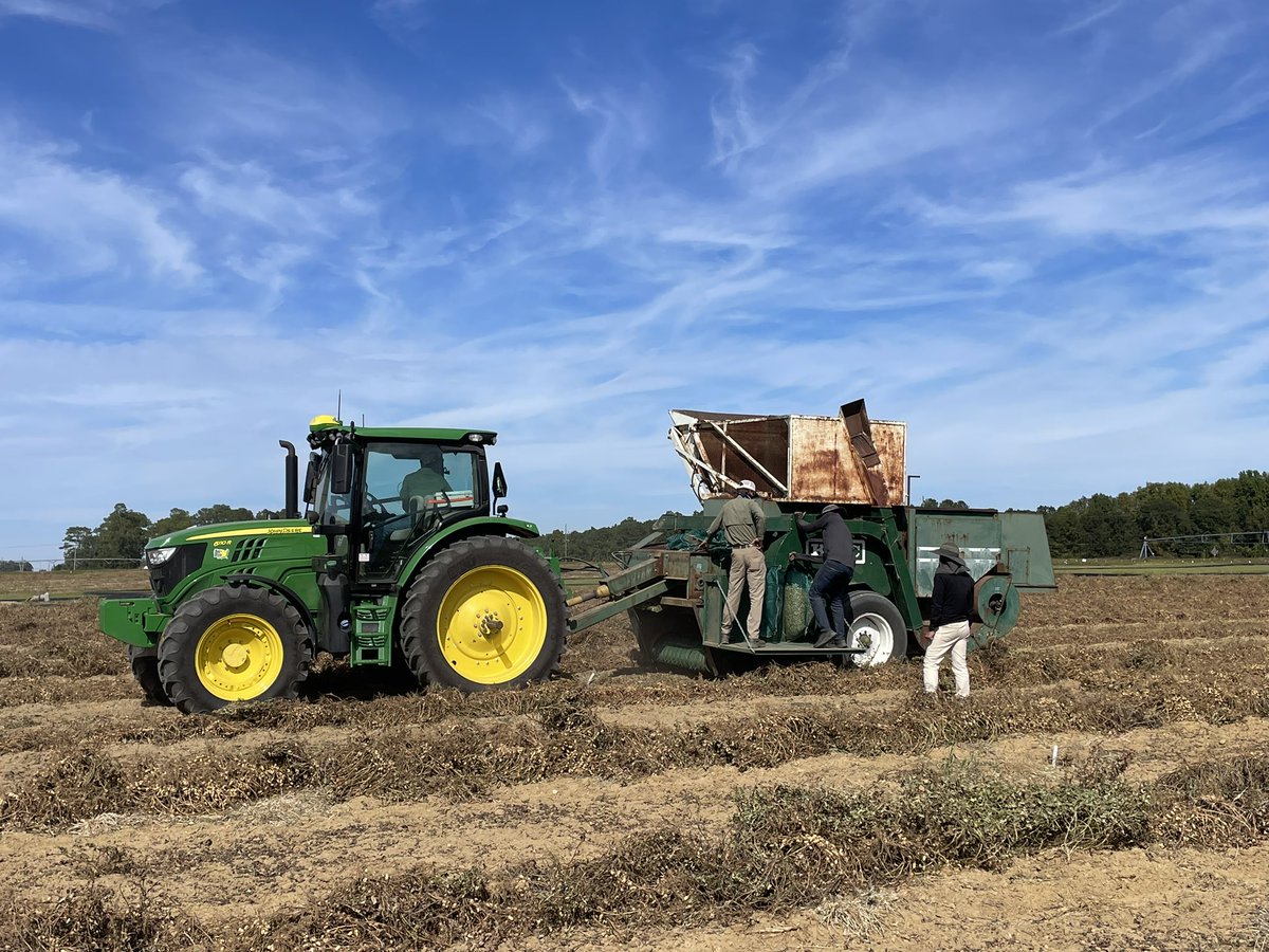ENGRTechCole's tweet photo. Wrapping up #peanuts in our research plots for #plant23 this week. Great studies evaluating #precisionag technologies and their applications in modern agriculture. Time to move onto picking cotton!
@UGA_CollegeofAg @UGADigitalAg @CropSoilUGA https://t.co/VJsiX28oq6
