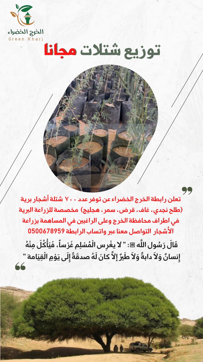 green_kharj's tweet photo. تعلن رابطة الخرج الخضراء عن توفر ٧٠٠ شتلة ( طلح، سمر، غاف، قرض، هجليج) مخصصة لزراعاتها في المناطق البرية بأطراف محافظة الخرج وعلى الراغبين بالمشاركة في زراعها التواصل معنا عبر واتساب الرابطة

سائلين المولى عز وجل ان يبارك جهود جميع المشاركين وبالأخص المساهمين في توفير الشتلات 🍃 https://t.co/3DfwG7cEQk