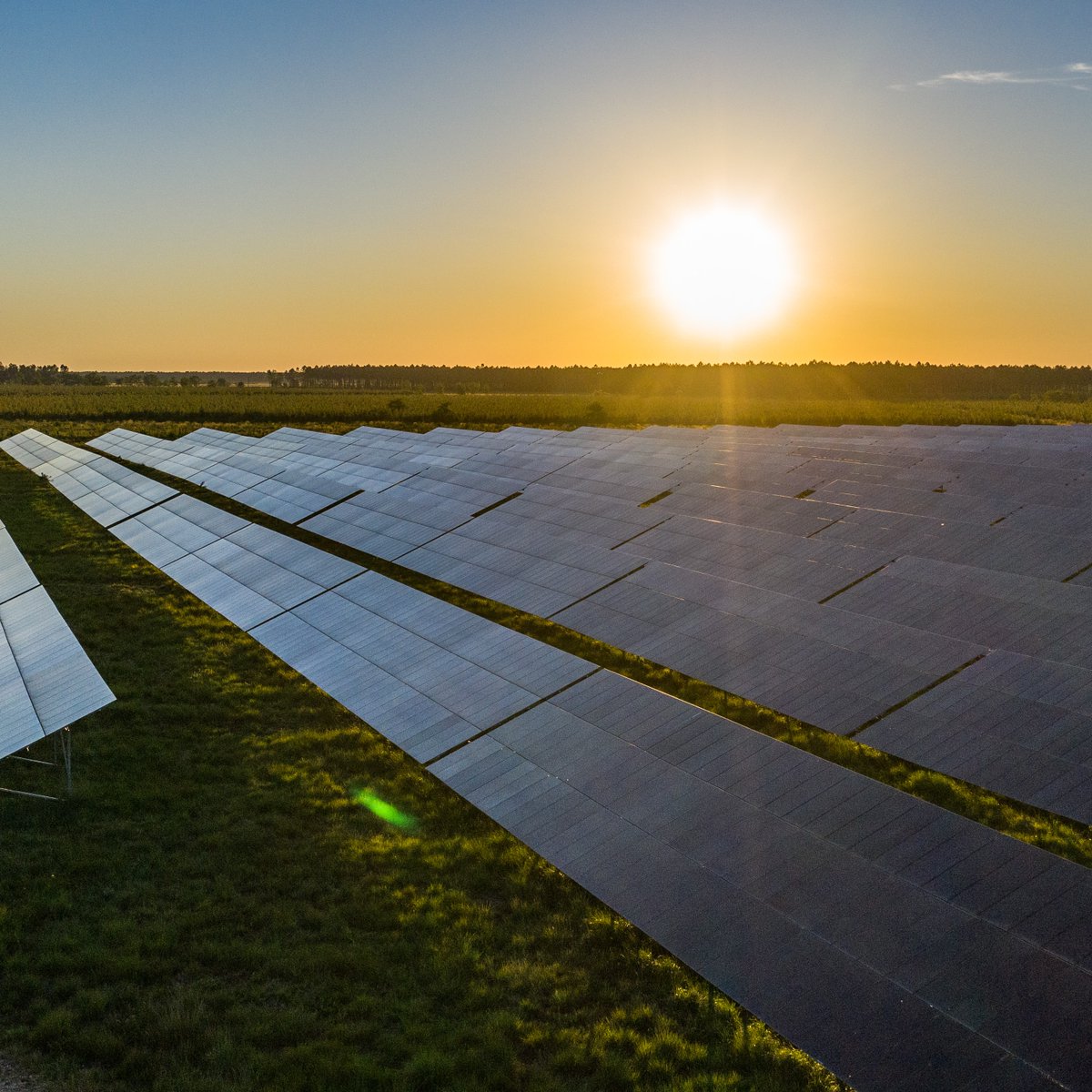 📣 Photosol annonce le lancement de  la construction de la 2e plus grande centrale photovoltaïque de France et accélère son déploiement en Espagne avec l’acquisition de 3 projets pour une capacité de près de 30 MWc.
👉 urlis.net/09xbee8x #energiesolaire #ENR