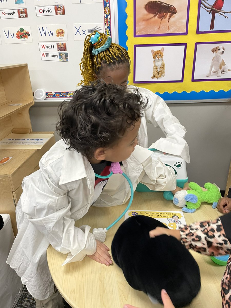 williams_korra's tweet photo. We are learning about pets in class , we even have a Pet Vet Center! 🩺🐶 and we got a special visit from our school pet SPIKE ! 🧡 #LearningisFUNdamental #BearkatBEST #HeartofaBearkat #Builttolast https://t.co/7VrcCPLLz2