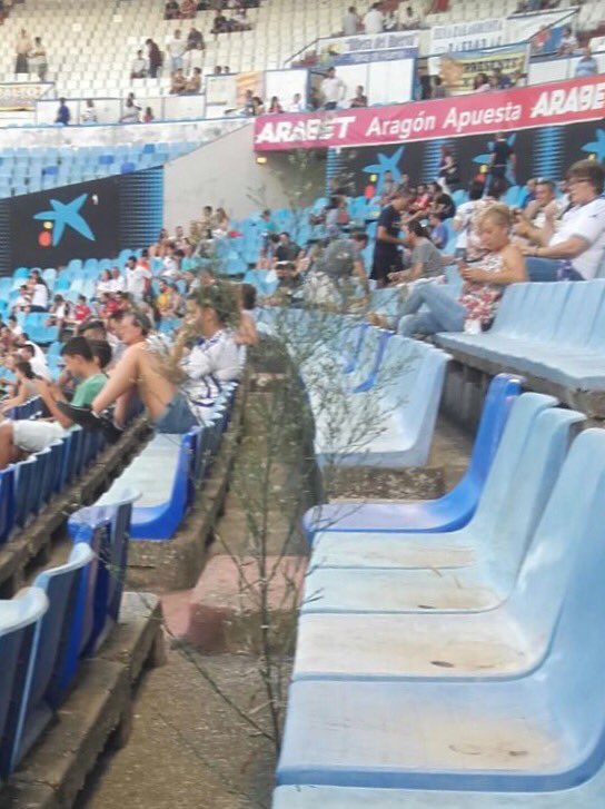 zanahoriez's tweet photo. hoy me toca pedir perdón a mis compañeros de grada, resulta que en un acto de protesta y de poco civismo planté un pino en mi localidad después del gol de Aketxe. Mil disculpas❤️ https://t.co/783Og7acDc