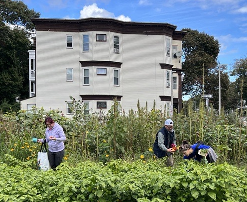 CatamaranBio's tweet image. Reflecting on the wonderful time we had volunteering at @ufiboston last week. It feels good to give back to our local community! #LifeScienceCares #NetworkofGood