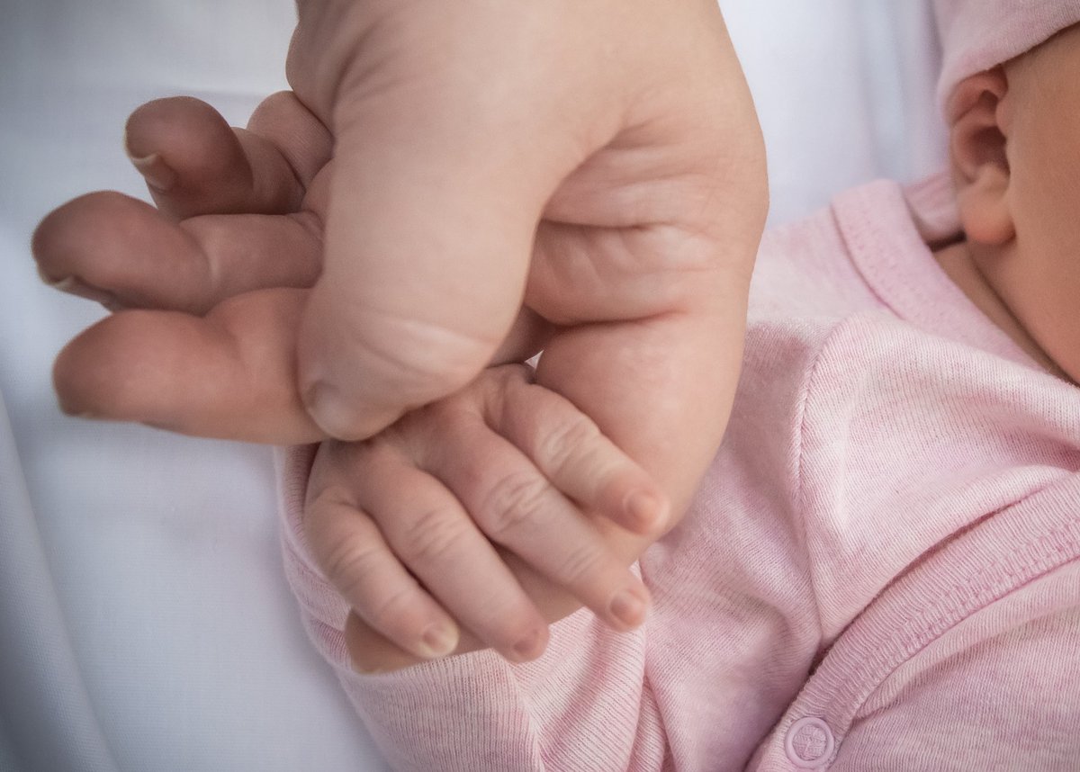 Stephanie Lulay tweet media