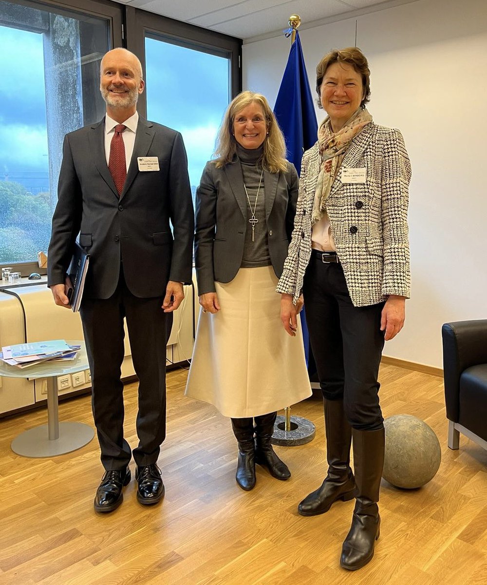 How to succeed in green transition while simultaneously strengthen #competitiveness and #resilience? One answer is strategic partnerships. Thank you DG Kerstin Jorna of @EU_Commission for today´s solid exchange on EU-Norway industrial cooperation 🇪🇺🇳🇴 #GreenAlliance