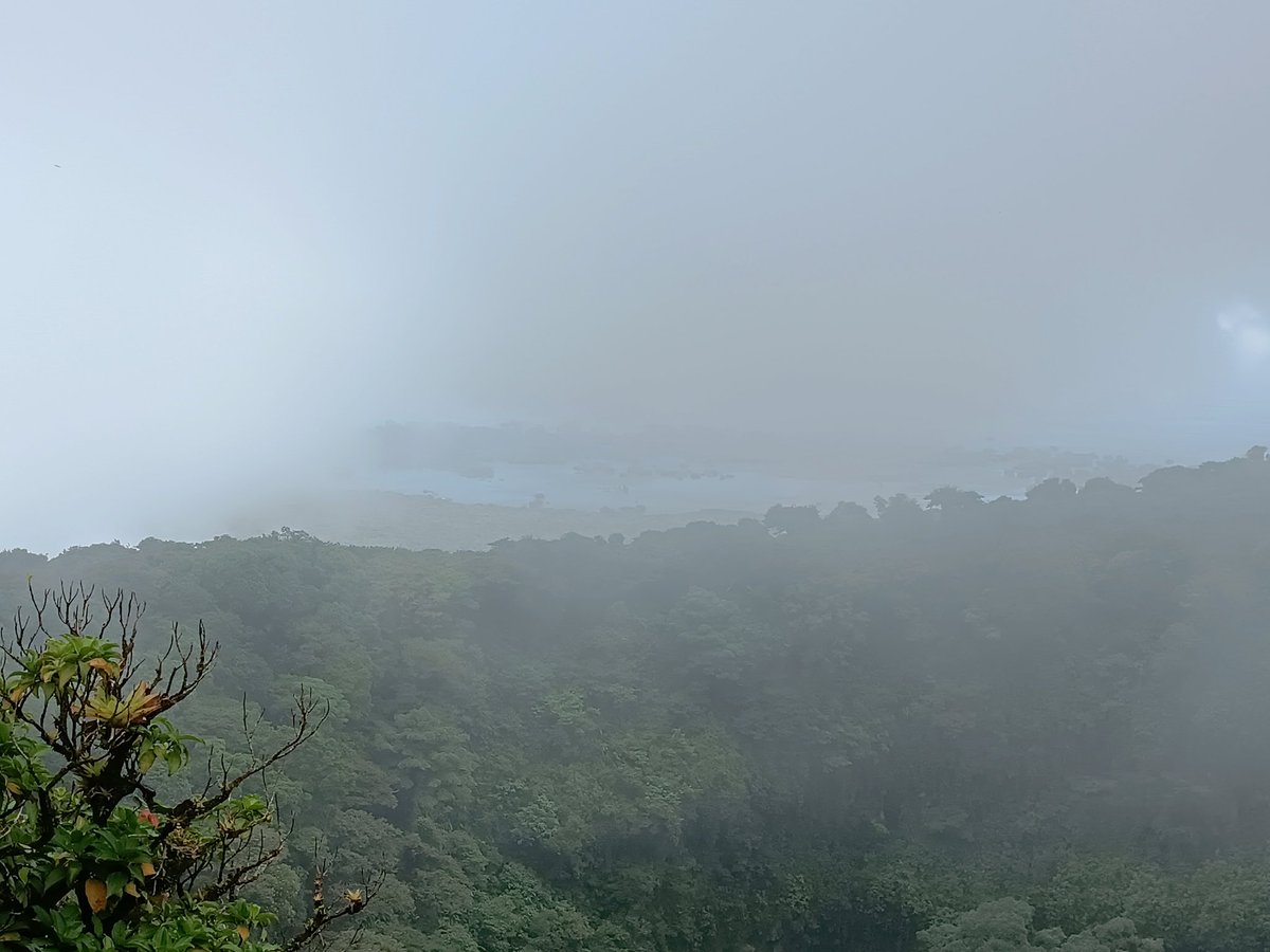 BelkysUrrutia's tweet photo. Un día en el #Mombacho, el tour que todo nacional debe disfrutar
Nicaragua es fascinante, sus reservas naturales son ideales para la aventura, senderismo, el contacto con la naturaleza. Café las Flores tienen a disposición tour tentadores para los nacionales (1/2)
#Nicaragua https://t.co/Up9wAOap5G