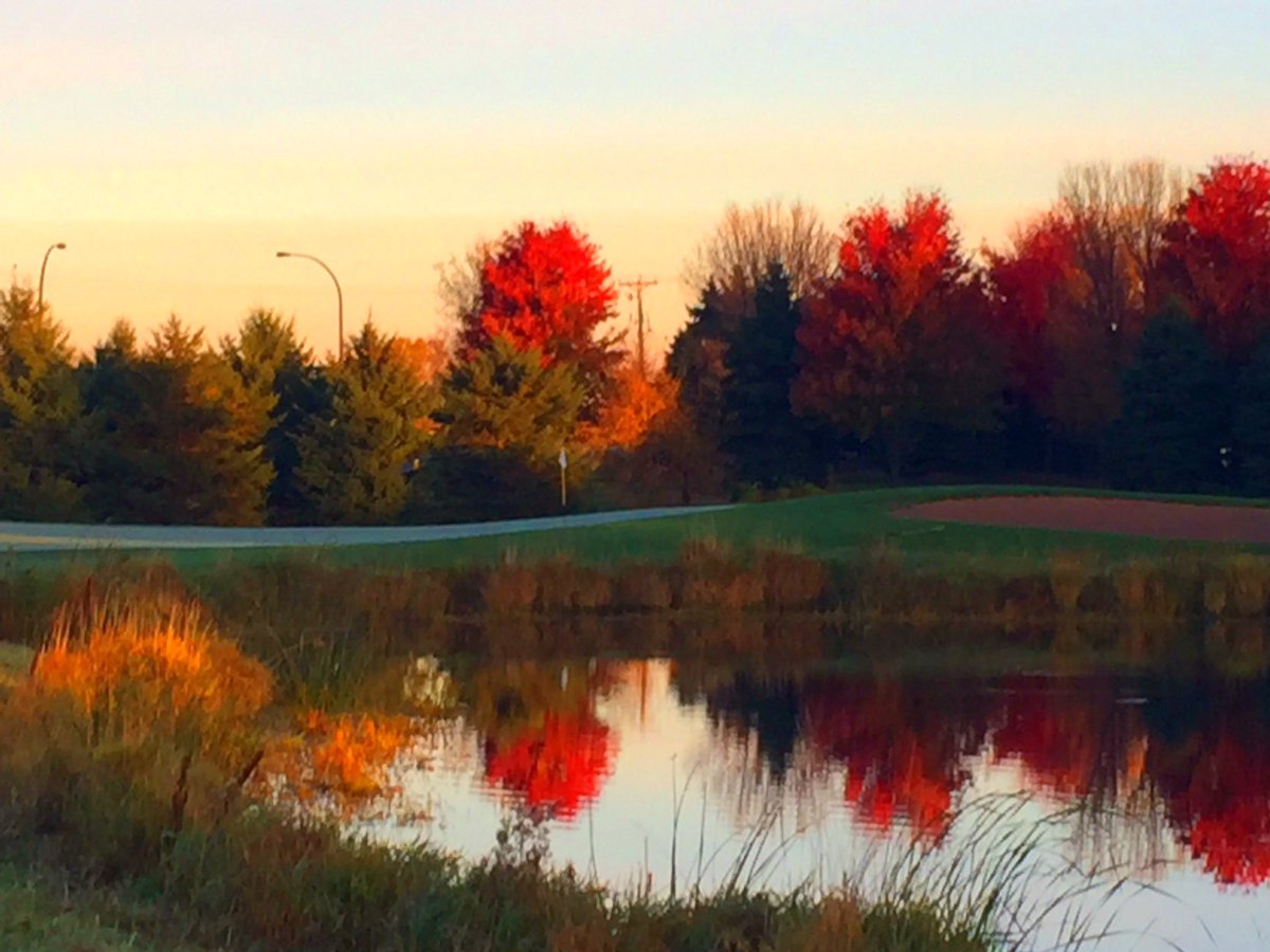 EagleValleyGC's tweet photo. Looking at the extended forecast, tomorrow could be the last good golfing day of the season.

We have VERY limited tee times available. 

Change your schedule and come play golf! 

#FallGolf🍁 #EagleValley🦅 https://t.co/qU6yd6BIOY