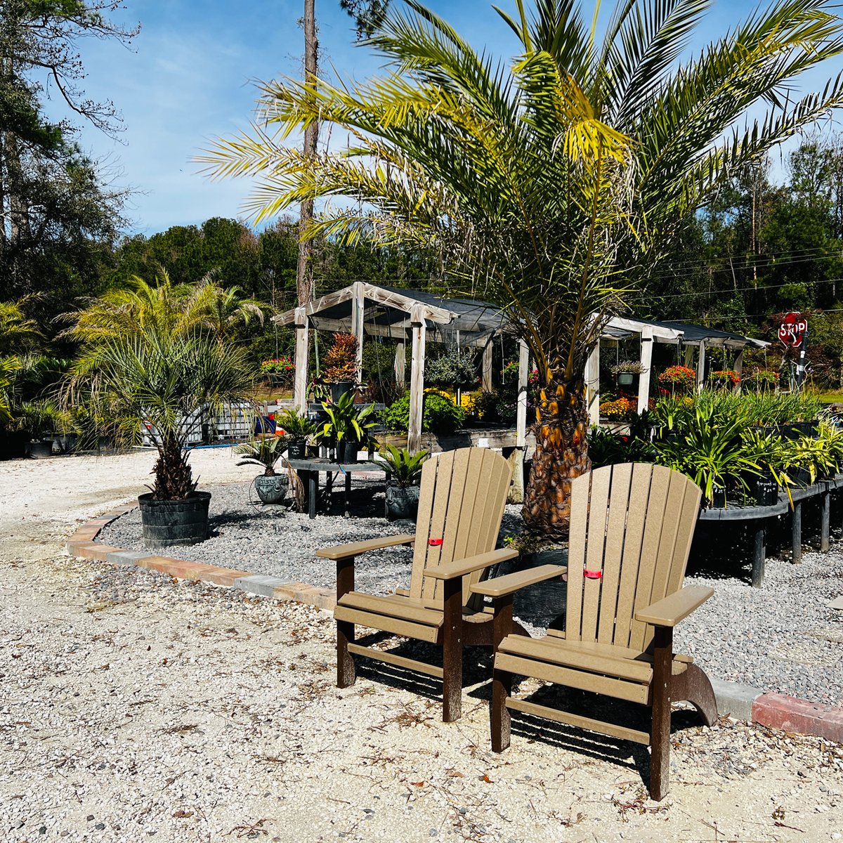 Our fall furniture sales is happening now for a limited time through the end of October! Visit the Garden Center to learn more: loom.ly/Fjv60js #elmgrens #elmgrensservices #richmondhill #rhgagardencenter #outdoorpolyfurniture #furniture #fanbackchairs #builtintheusa