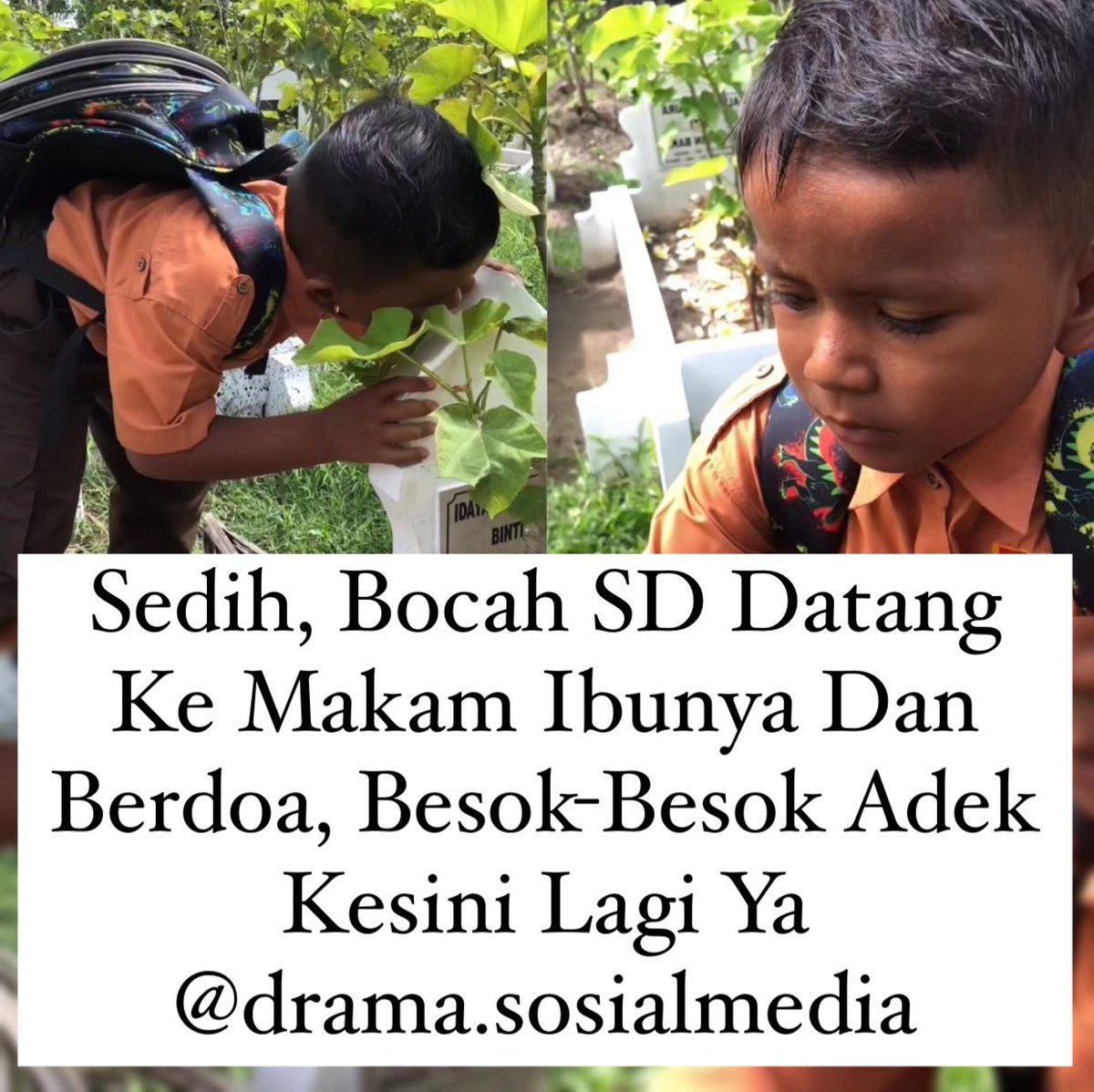 sosmedkeras's tweet photo. Semangat adekkk 
Semoga cita-cita terkabul semua 🥹🥹
.
.
[ depi____02 ] https://t.co/nnN2Iyix05