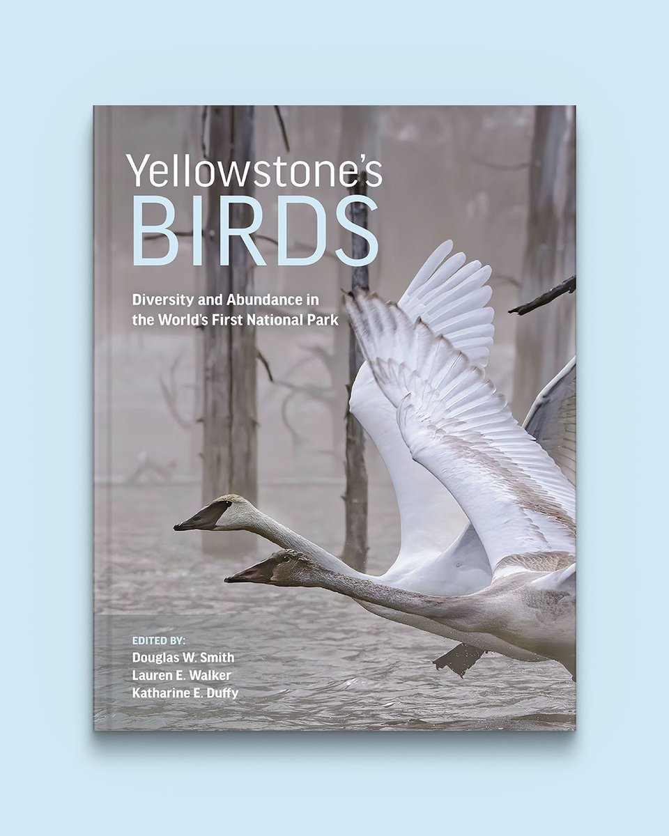 The @LibraryJournal calls Yellowstone's Birds 'revelatory' in a starred review. Check it out: hubs.ly/Q026xC5w0 Available now in North America (UK/Europe 14 November pub).