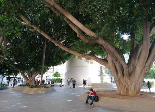 Jujonomi87's tweet photo. Estoy viendo esta foto de hace unos años ... ¿Cómo se puede venir abajo todo esto en nada de tiempo? Ni un ficus queda ya en la Encarnación. https://t.co/QB43rajvQv