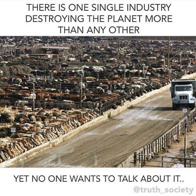 We will never be able to mitigate the #ClimateCrisis the #BiodiversityCrisis and #MassExtinction if we don’t take the global animal industry out of business …