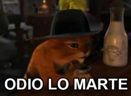 lusuaarezz's tweet photo. no sé si hay alguna explicación para q el martes sea el PEOR día de la semana pero lo es POR ESCÁNDALO cada martes quiero encerrarme y no ir a laburar xq se lo mierda q va a ser es hasta peor q el domingo https://t.co/kVxfPFgd9M