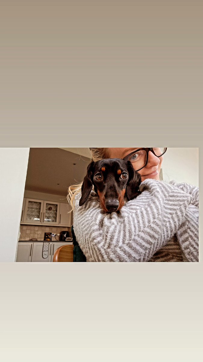 ConlanClare's tweet photo. Mabel helping me write my Systematic Review Proposal for my #ANP Masters. She will know more about #T2DM than me when we're done 🥲 #advancedpractice #canp #T2DM #RCSI #gpland #GPN #practicenurse https://t.co/hkwFQzlKGA