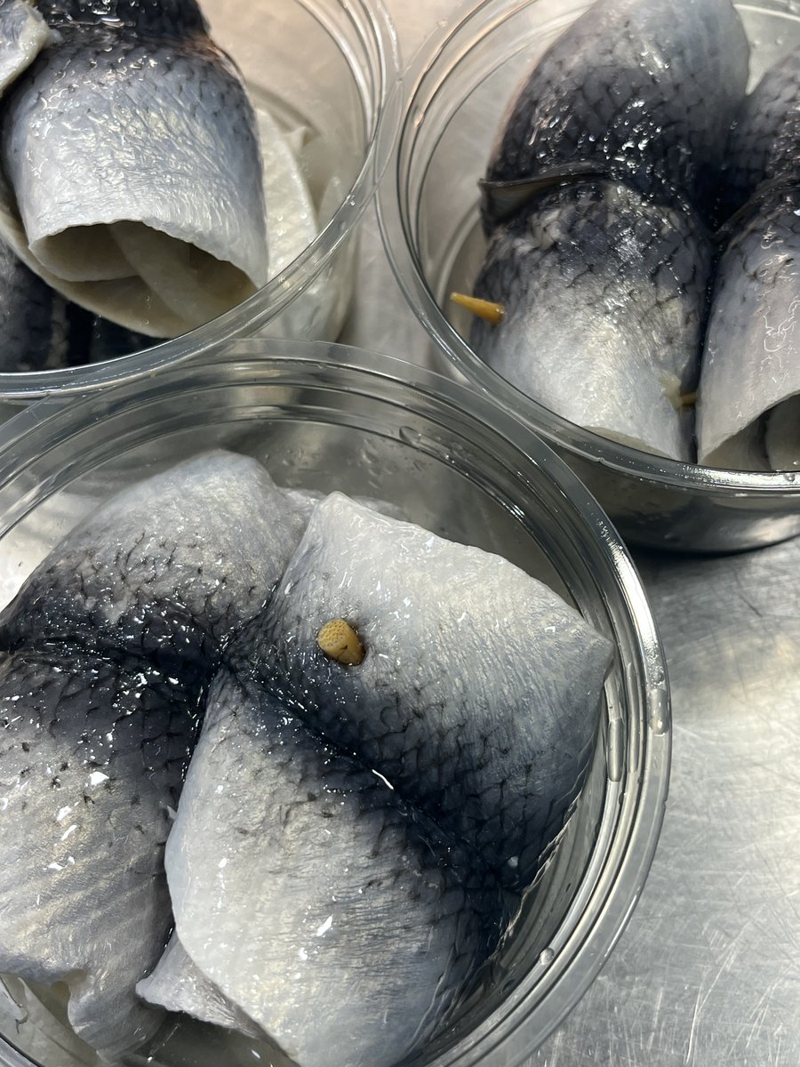 latimersseafood's tweet photo. Our herring rollmops are buy 1 get 1 free while stock lasts, so be shore' to come and grab them while you can!
Rollmops are great as a snack, in a salad, or as a starter 😋
What's your favourite way to have them?
#Latimers #LatimersSeafood #Rollmops #Buy1Get1Free #Sunderland https://t.co/zd5s4owsH5