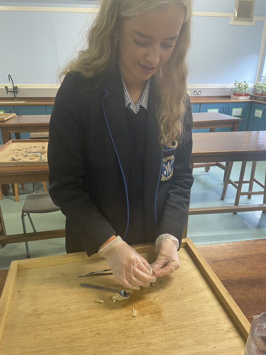 SLG Biology Dept. tweet media