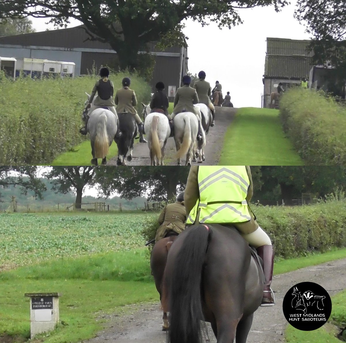 West Mids Hunt Sabs (@westmidssabs) on Twitter photo ๐ช๐ฎ๐ฟ๐๐ถ๐ฐ๐ธ๐๐ต๐ถ๐ฟ๐ฒ ๐๐๐ป๐ ๐ผ๐ป ๐ก๐ฎ๐๐ถ๐ผ๐ป๐ฎ๐น ๐ง๐ฟ๐๐๐ ๐น๐ฎ๐ป๐ฑ
This morning the Warwickshire Hunt met at College Farm, Farnborough. This farm is owned by the National Trust who have banned โtrail huntingโ on their land.
<a href="/nationaltrust/">National Trust</a> why did this happen? ๐ช๐ฎ๐ฟ๐๐ถ๐ฐ๐ธ๐๐ต๐ถ๐ฟ๐ฒ ๐๐๐ป๐ ๐ผ๐ป ๐ก๐ฎ๐๐ถ๐ผ๐ป๐ฎ๐น ๐ง๐ฟ๐๐๐ ๐น๐ฎ๐ป๐ฑ
This morning the Warwickshire Hunt met at College Farm, Farnborough. This farm is owned by the National Trust who have banned โtrail huntingโ on their land.
<a href="/nationaltrust/">National Trust</a> why did this happen?