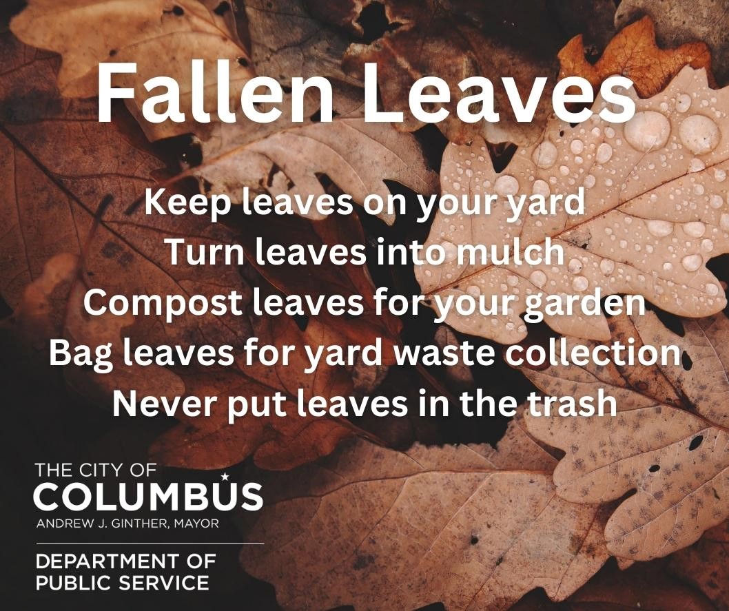 ColumbusDPS's tweet image. Fallen Leaves Tip!
Keep leaves on your yard.
Turn leaves into mulch.
Compost for your garden.
Bag for yard waste collection.
Never put leaves in the trash.
Embrace fall sustainably! 🍃🌿#FallGarden #SustainableLiving