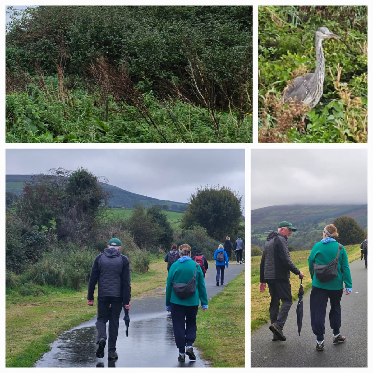 Storm Babet cleared just in time for the first week of our #ActiveCities Hop On Hike Off Public Public Hiking Programme with @sdcsp01 The wonderful rangers from @DubMountains the led the hike from The Tallaght Luas Stop to Kiltipper. We can't wait for the next one!