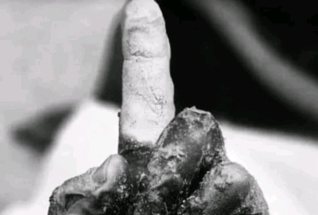 ለሸሀዳ የተቀሰረች ጣት!
ከፍርስራሽ መሐል ቦግ ብላ የምታበራ!
የእሳት አሩር ያላጠፋት የድሮን ቦንብ ያላደበዘዛት የሸሃዳ ጣት!