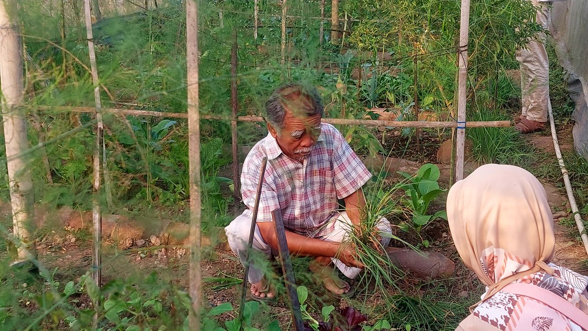Adi_Mica's tweet image. No local ethnography without properly going into the field. Liaison in the making with researchers and alumni of
@UGMYogyakarta
. A former student of marketing made a comprehensive intro to bio-farming and teaching of social policy at her uni.  . #FailureLab